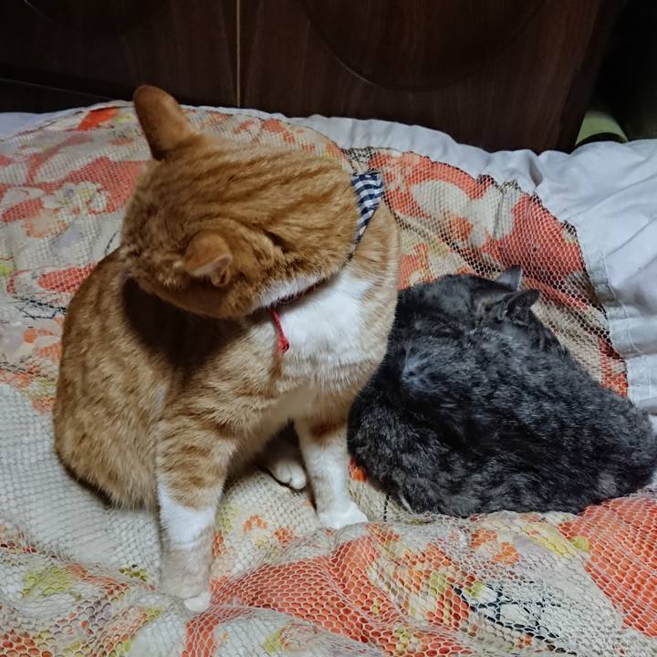 40d4014e 4542 46c8 89f3 7ff61f42da11 1573909285328