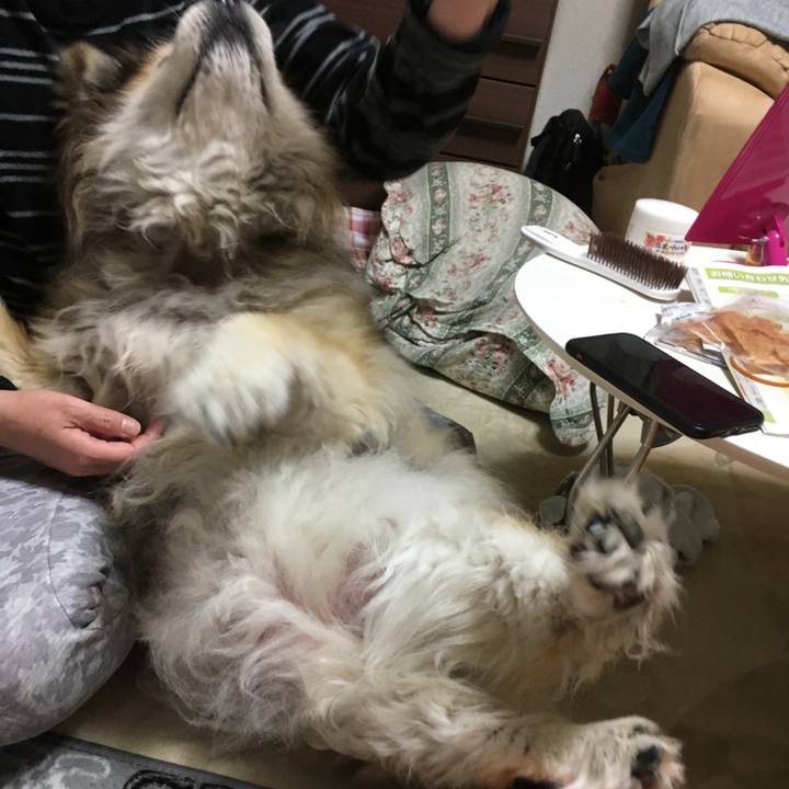 40d40ef4 5064 4ff3 91ba 54d597e3370d 1564015537152