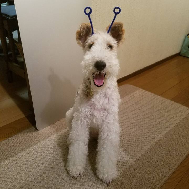 40d4488a 2e6d 46cd 9347 640de29c546a 1563806277673