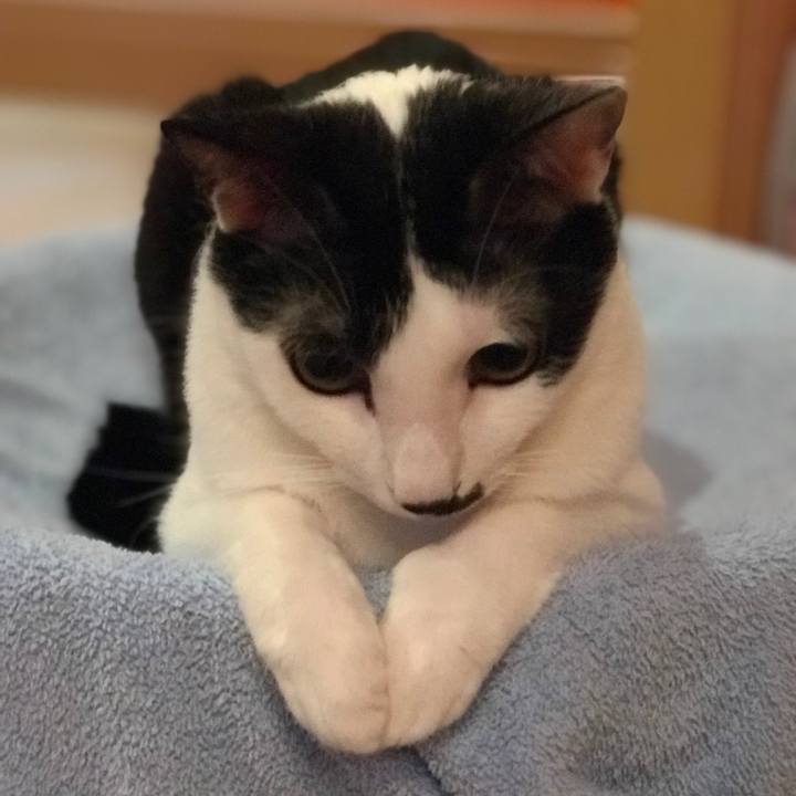 40d481d0 3145 4c35 902b dff2881ec51b 1535855501659