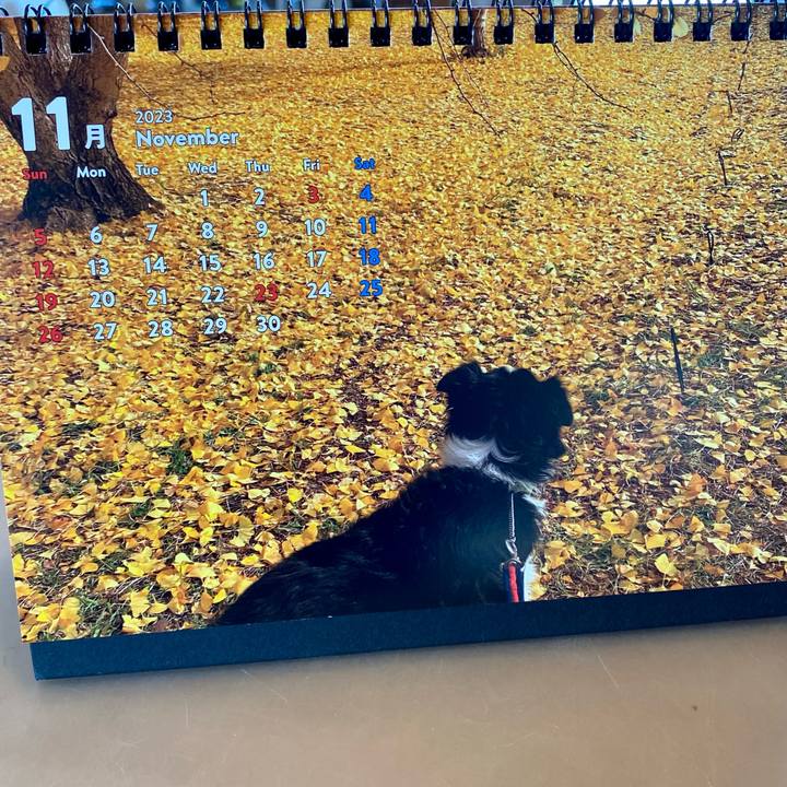 40d4ac20 dc82 4632 ba11 1510f4667d1a 1698793413548