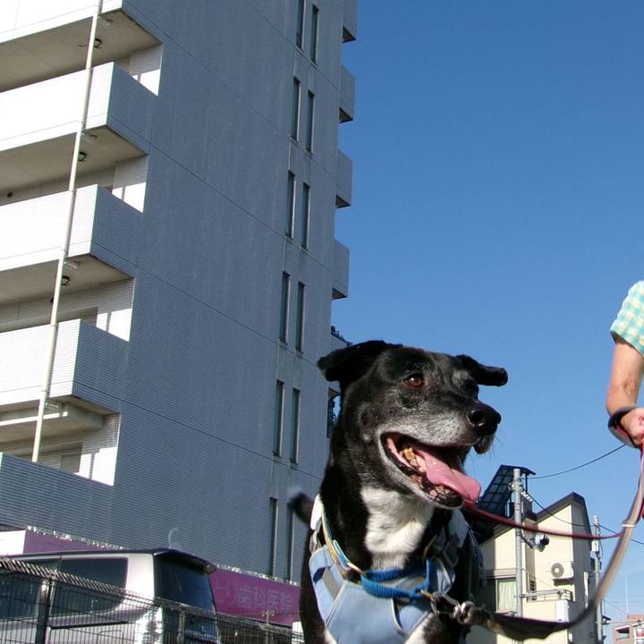 40d4c657 6bbd 46ad 825c 8c5cfa569d99 1754614122220