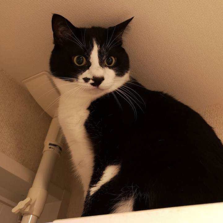 40d4e0dd 37f7 448f 8d29 0256f9d21d62 1552231796215