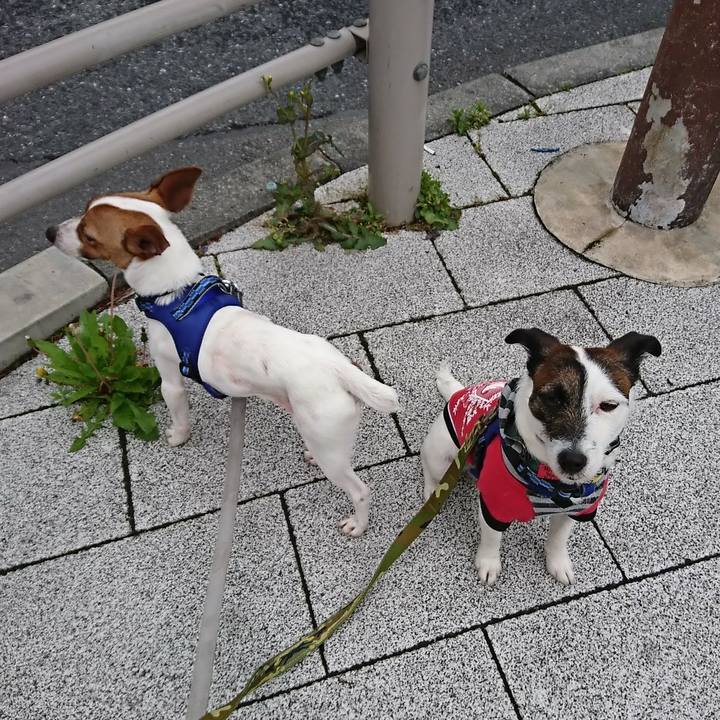 40d4e981 6b3f 422c bca0 3aa883d063a5 1524090734214