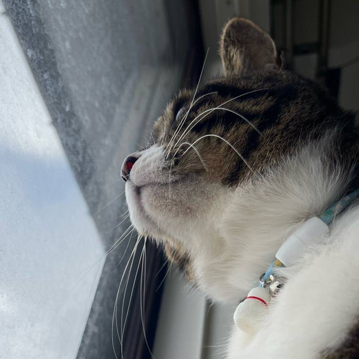 40d4fcdf 53f5 402d 8dee 8deeaea6914a 1771288551045