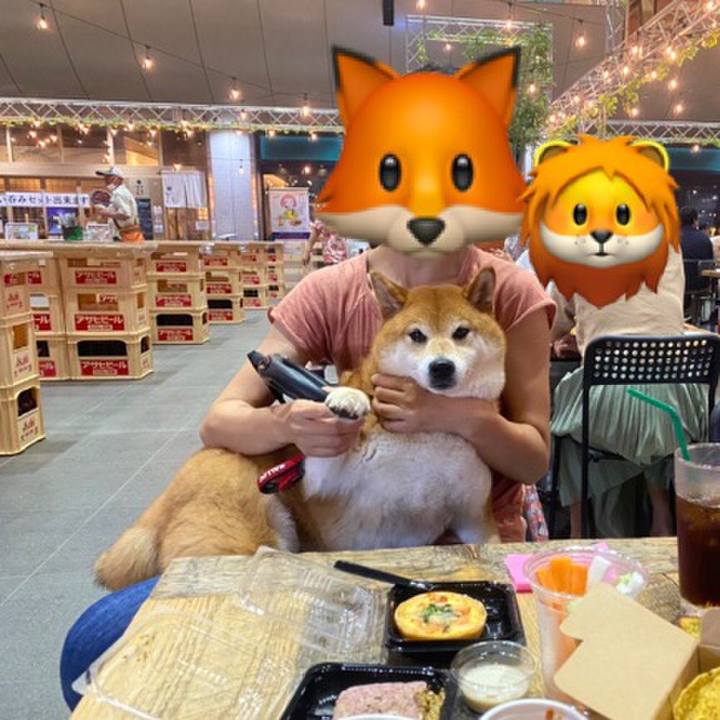 40d53484 9fcb 481d 88d0 c08c0940b2f1 1596885643034