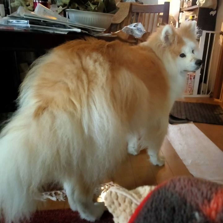 40d534d5 8247 4d81 8d68 1589809f09cb 1623758964259