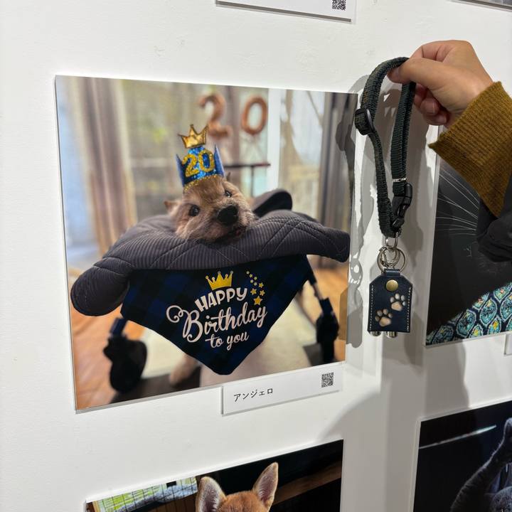 40d53764 b348 4b40 9c02 b26babb2e29c 1761650846913