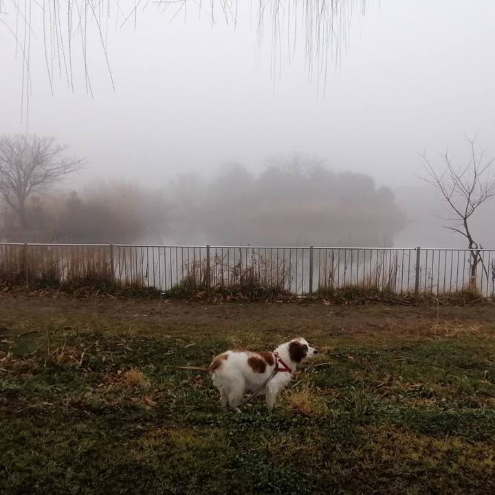 40d559db 2797 4319 8bf0 2f56d3b99626 1581730385415