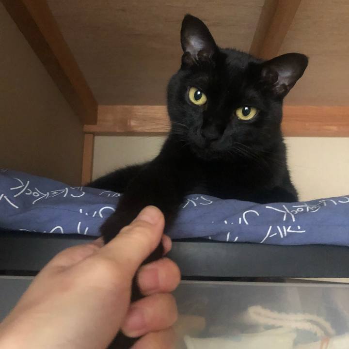 40d56157 9845 4b04 b1df d0836be4accd 1658108555900