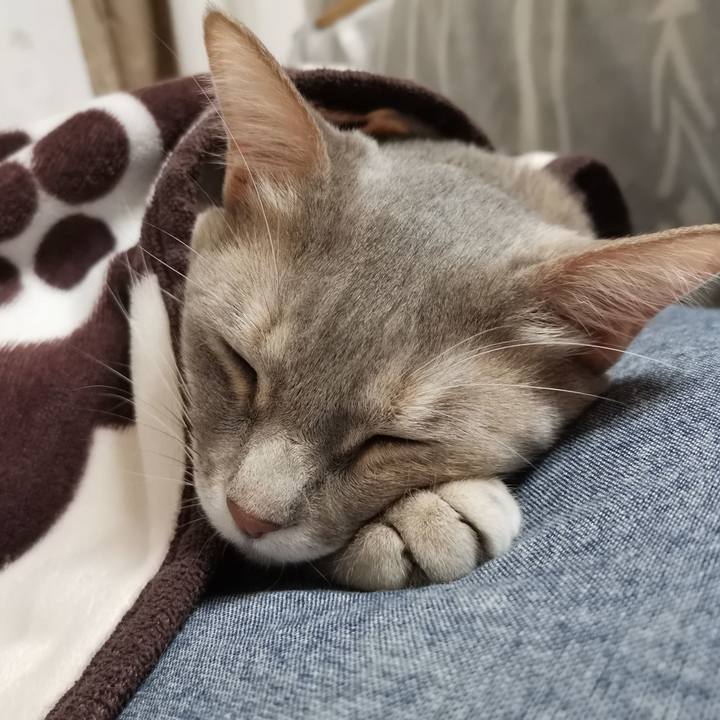 40d56426 0945 42fd 8d95 0c78697f5d5f 1613261319212