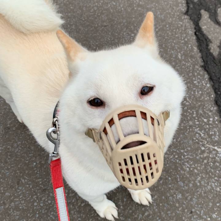 40d57cf9 5d6e 493c af4b ca4172ac54ce 1565989328924