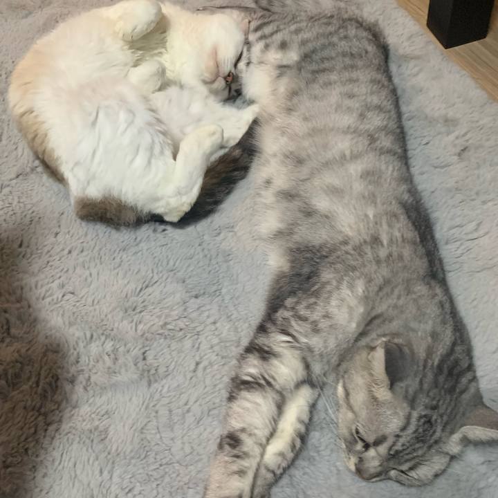 40d59aab 0d69 4c60 93f8 8e3fed3521d2 1663897073309