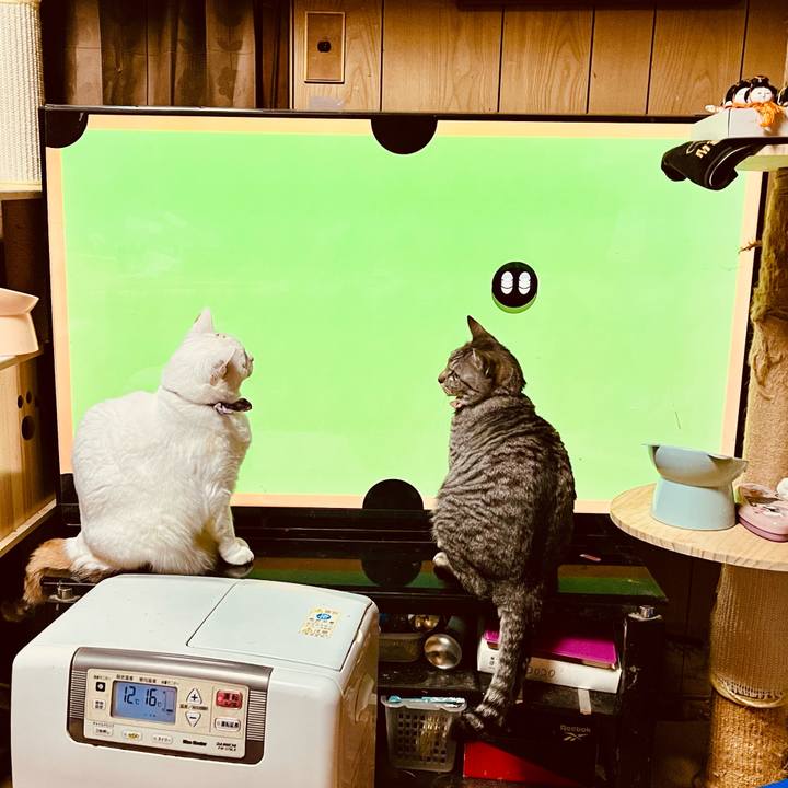 40d59d8c f8bb 42bf 923d 3bba9f07d783 1772098287410