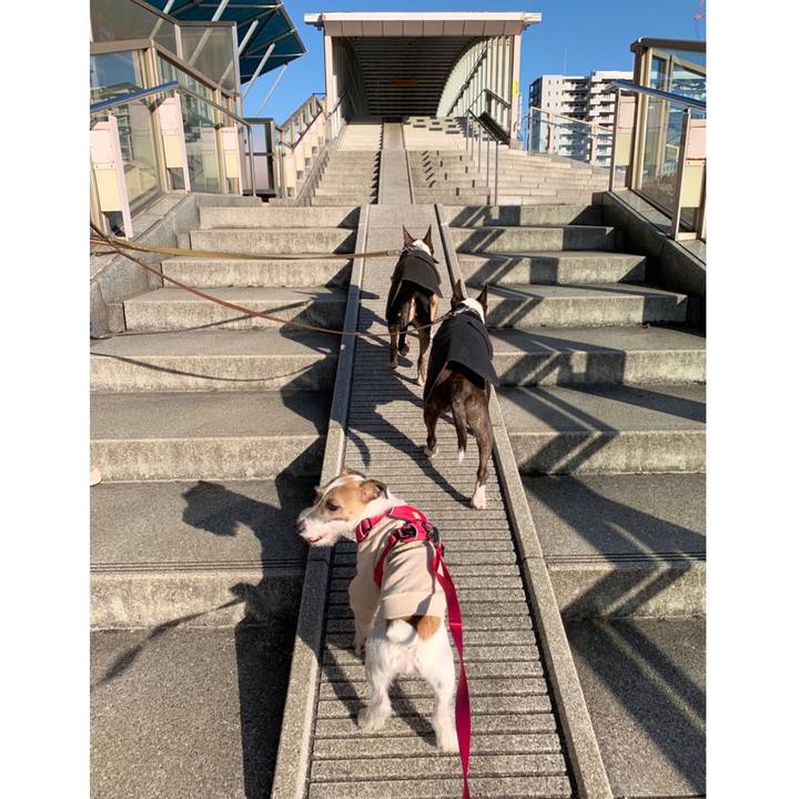 40d5c375 342c 4412 b5c4 7bb779c6b28e 1582462213928