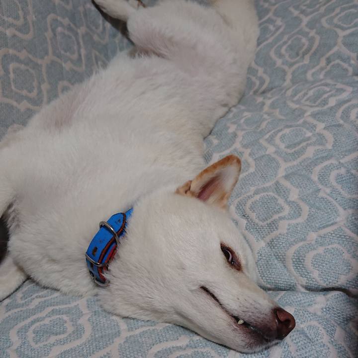 40d5ca98 55c0 4ced 8681 97624b2a2795 1599371586920