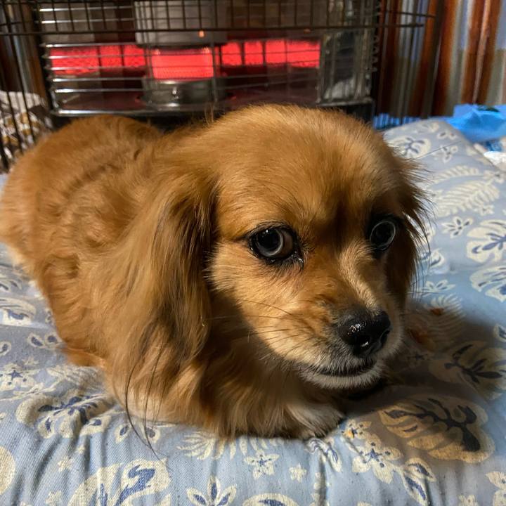 40d5d8fc 4e09 4c55 84aa d87a1f171699 1609106767596