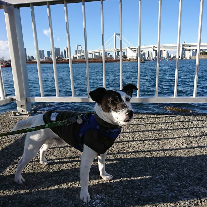 40d5d9cf 6949 40de 8606 15186904f075 1514352828922