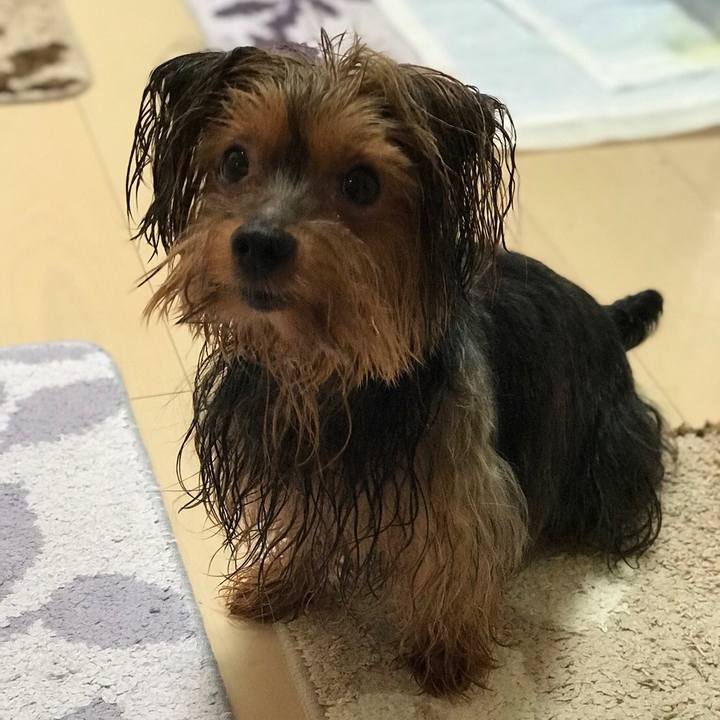 40d5dfbb f6d2 4aa0 ad74 ead8fd5abfd4 1535939302776