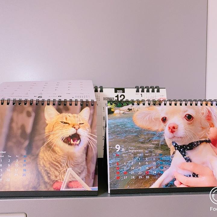 40d5f1b8 96f0 4919 95d9 7b968209fc06 1630649477988