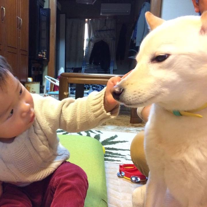 40d65095 1c95 48dd 98d0 47ae5ed49129 1514971044671