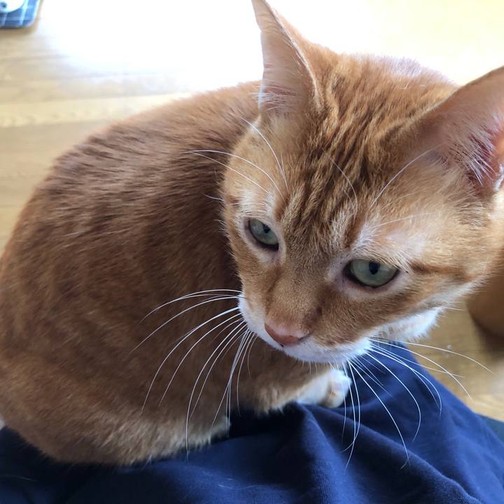 40d65c6b 407c 4d16 881f 30ab4d3dfe80 1714280717769