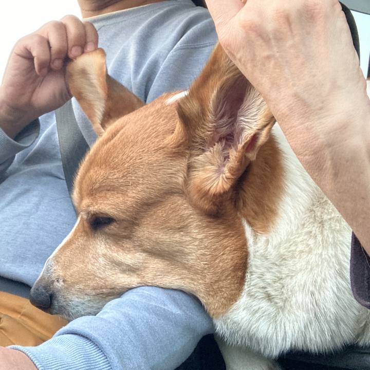 40d66139 ad42 40cb 8b75 c8d60bf3b479 1765253016792