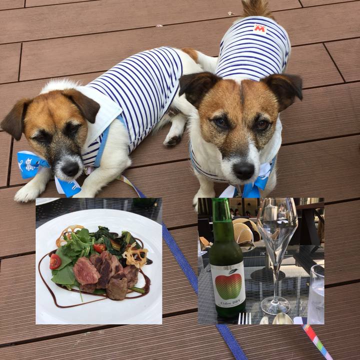 40d66d93 a341 4a12 8f16 56e282931df6 1524285312738