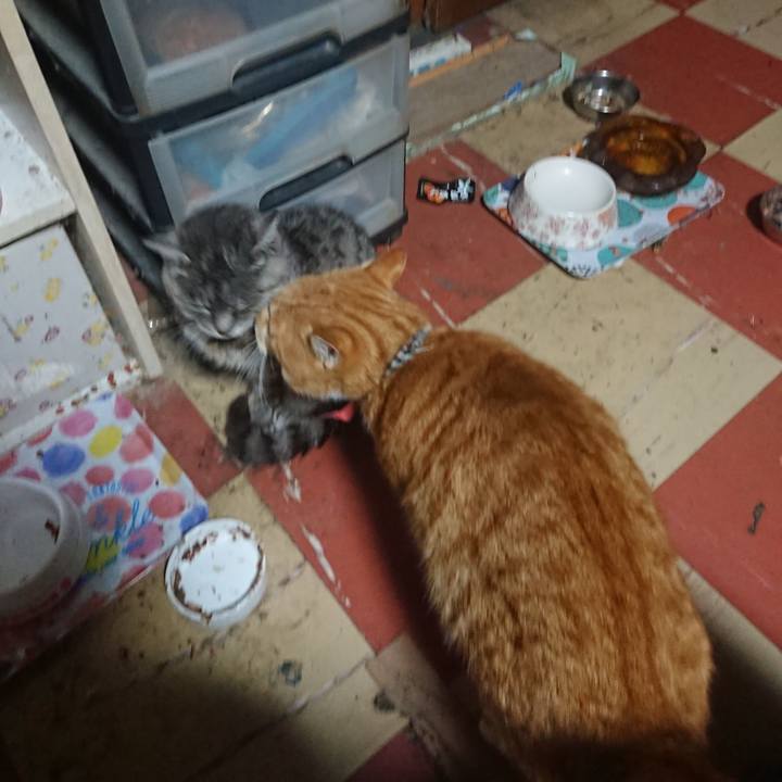 40d66e1f 6860 482e bc3b f4b2626cc9fb 1574724400524