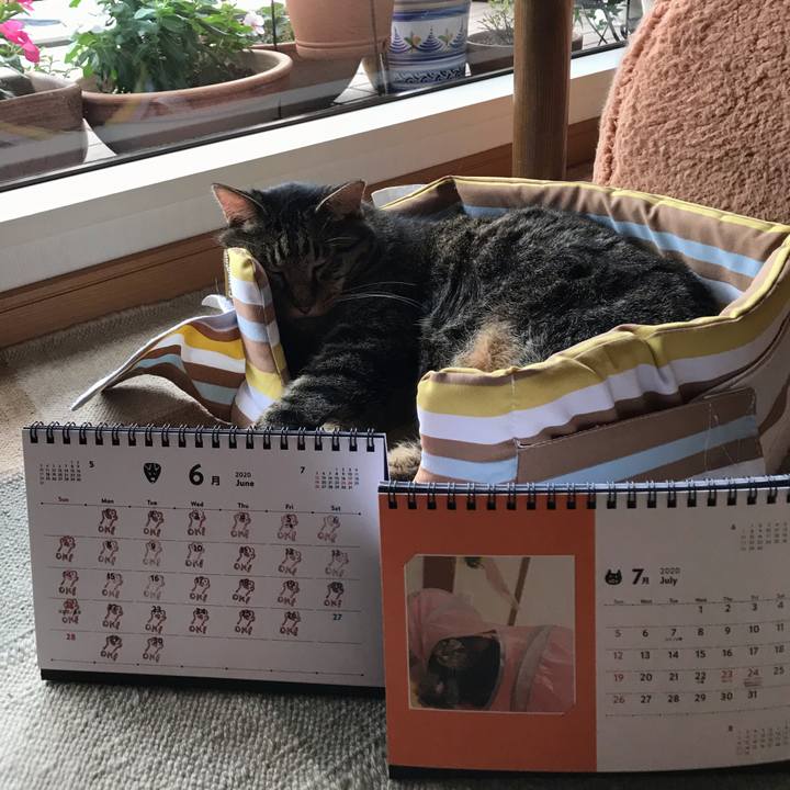 40d675aa 2d05 4a62 8060 288bfd1b2c83 1593555156183