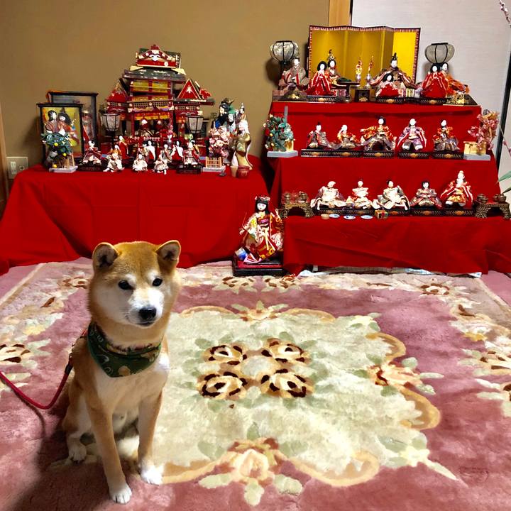 40d67c71 8938 4168 ae75 70240666e542 1550044447493