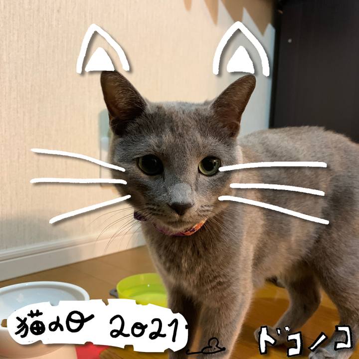 40d69f53 4ed1 47a8 8373 6418426dfadd 1613996728692