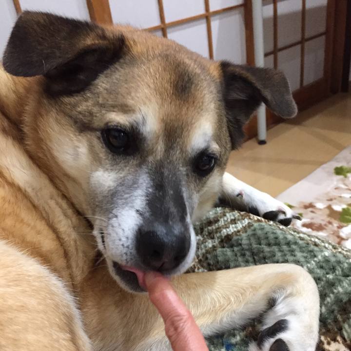 40d6a2c5 798e 4bea 93e0 65b7ae6ed2af 1581755071853