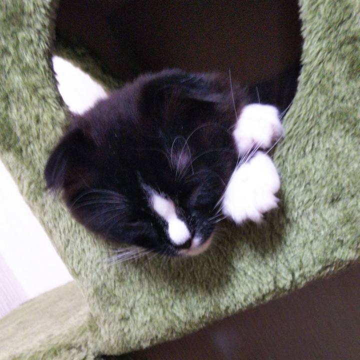 40d6a407 303d 4ce1 a565 fac66b56cacb 1641903762071