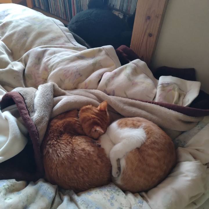 40d6cf8f 282a 41fd 8b0f 9e9531981159 1740017652658