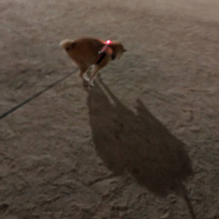 40d6f966 879e 431b 8da3 c9ca6d0d1608 1585831628052