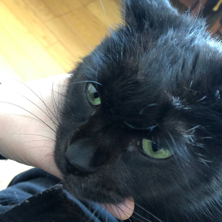 40d728dd 6a51 42c6 8553 8647a9769f8c 1575697789039