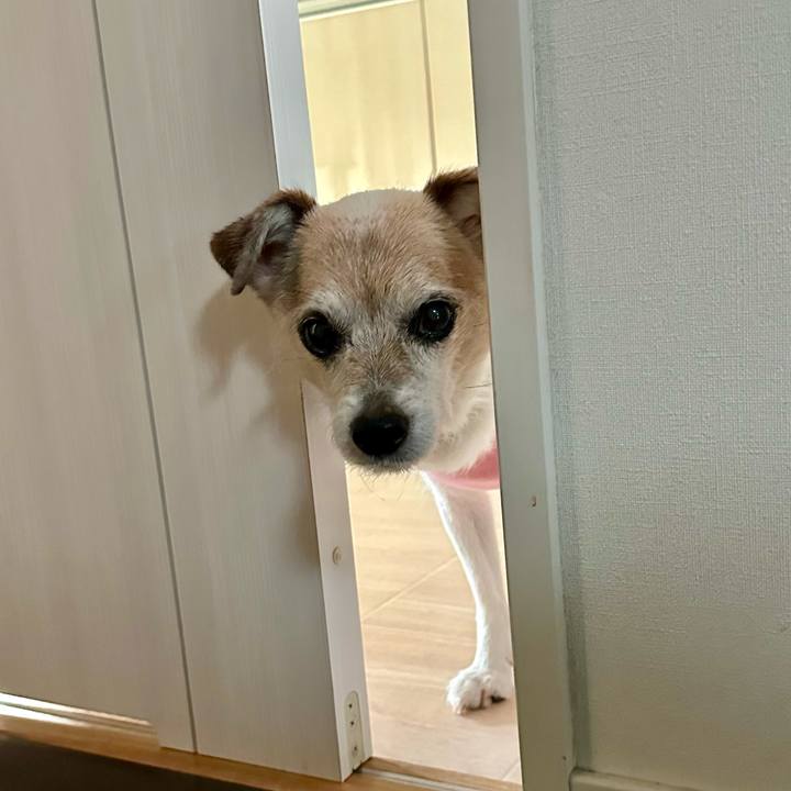 40d75f94 c94b 476e 9db1 267520089ce8 1720005322056