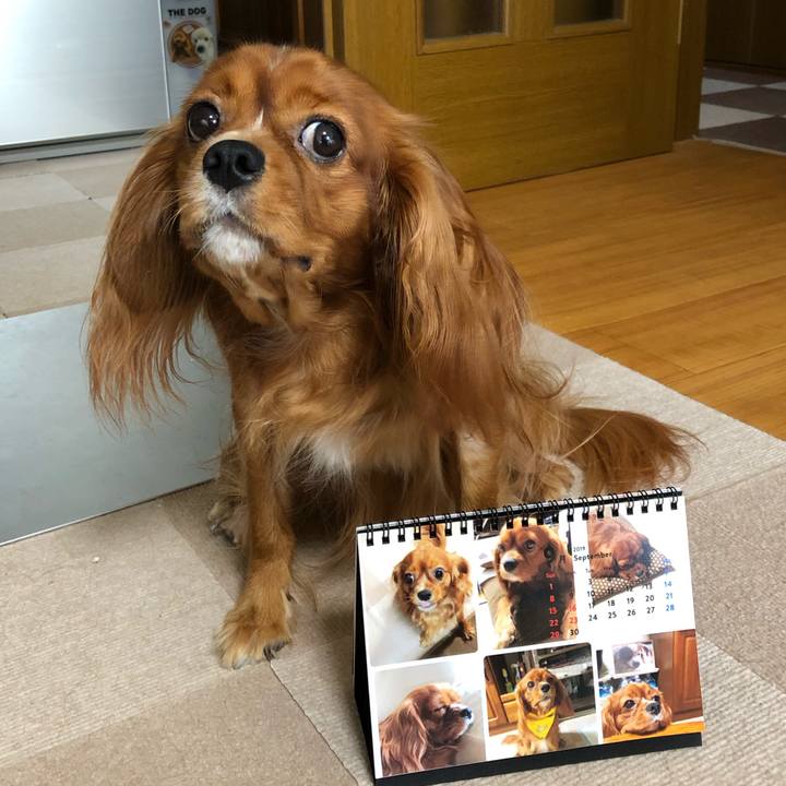 40d7713b 8bf4 4376 b27b add59179f4b8 1567291199231