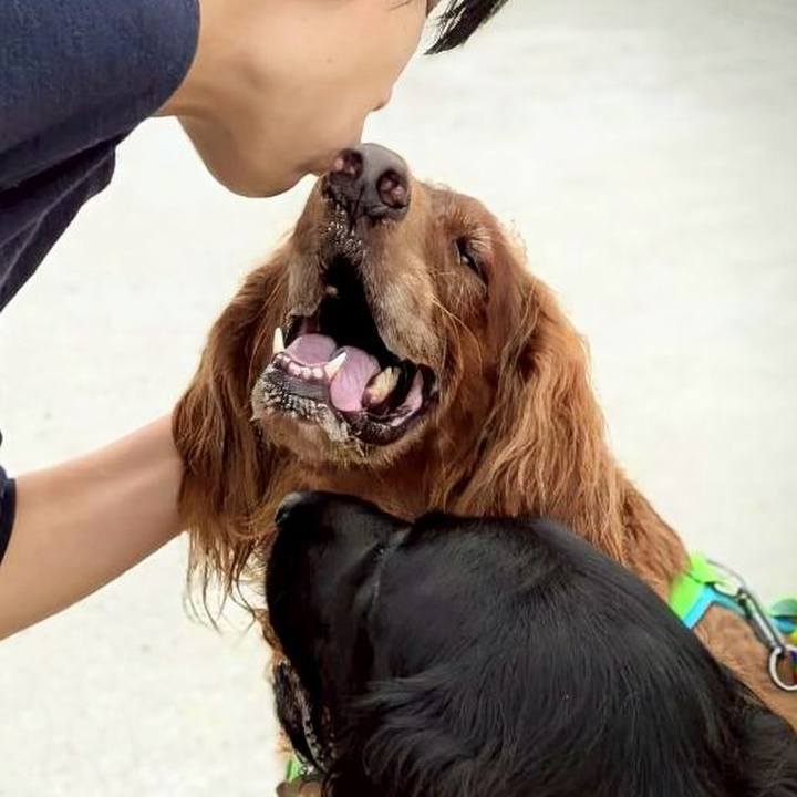 40d7b429 2b23 4b2e 8d3e 844e1c11e8b9 1759638384308