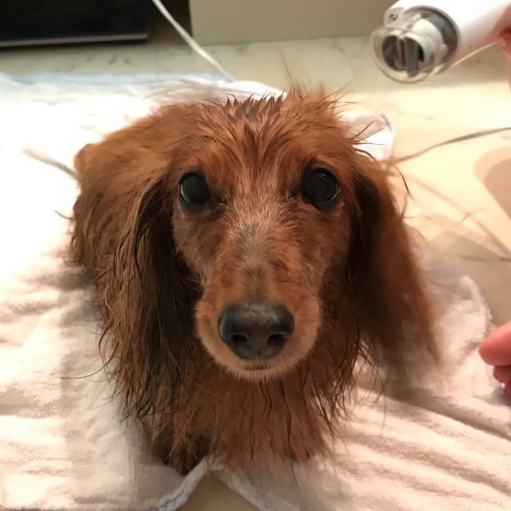 40d7c649 5522 45f0 8c2a 751af034f36f 1546223240485