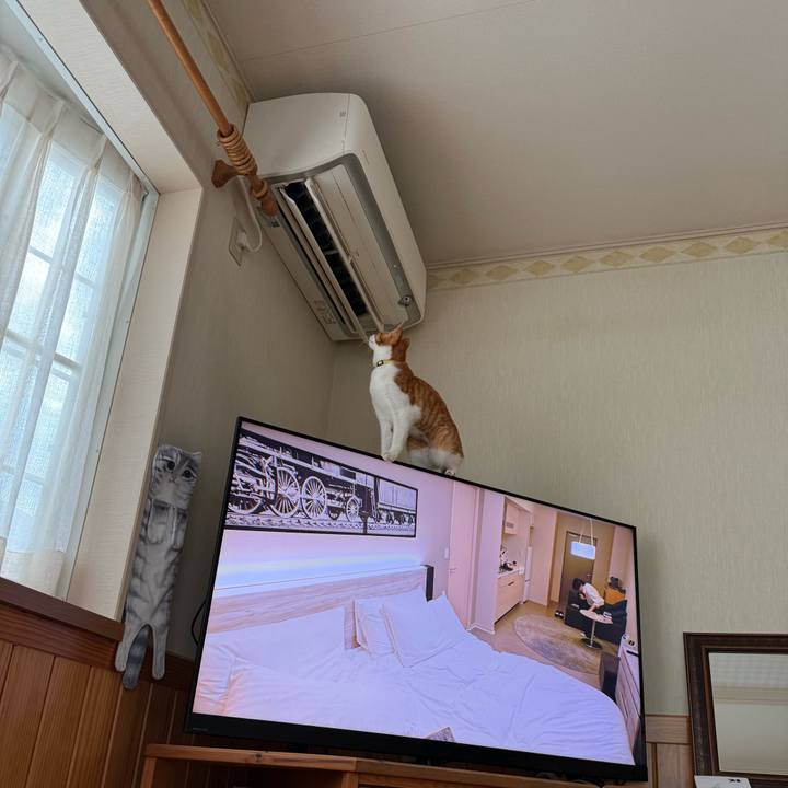 40d7dd75 43b6 4399 8290 ea9c77ea5980 1761095831766