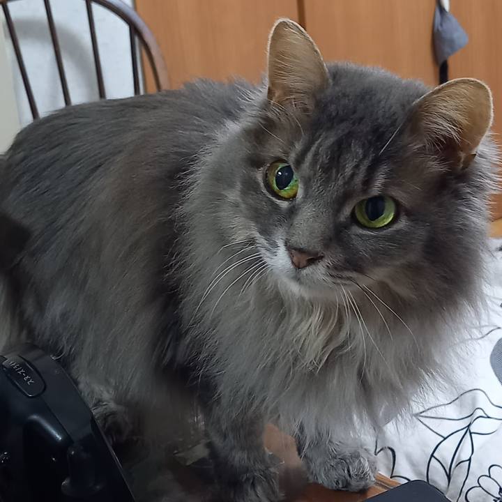 40d7e283 7e1a 4824 8bc4 bb7d7001adec 1675733827697