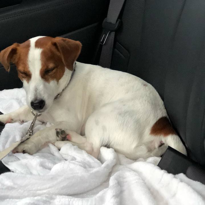 40d7e521 ef0d 41d6 85d9 10d2a6ffba28 1593507737428