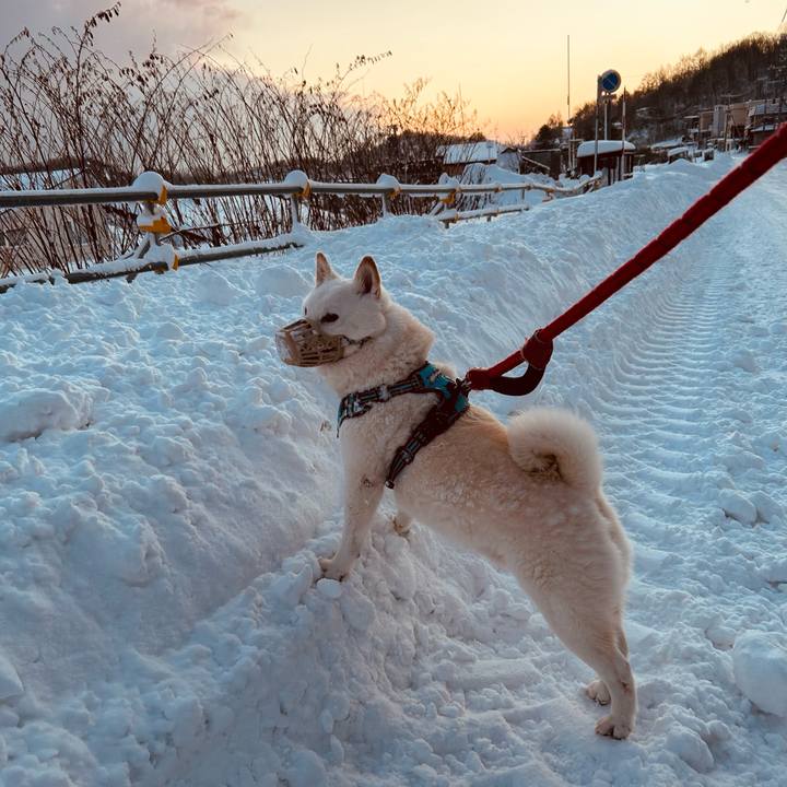 40d7f061 12c1 4620 b4a2 b3a753eaf437 1734303087916