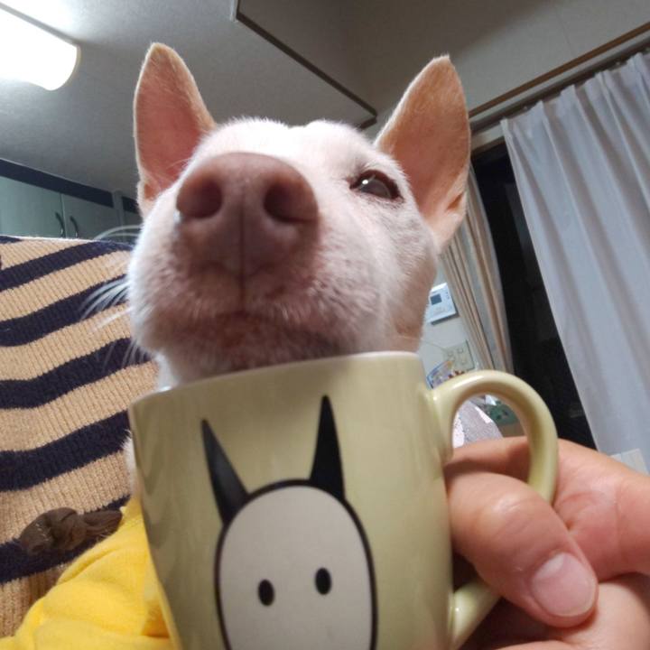 40d7f6f0 932e 4721 b83a 090bc044e624 1576324410699