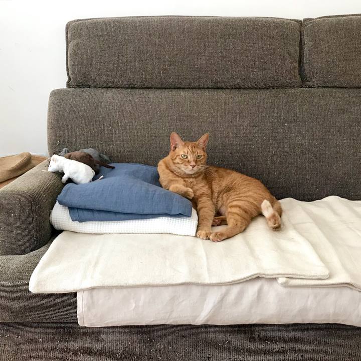 40d8179e 95a8 4ba5 99c6 4c16db855008 1535604288898