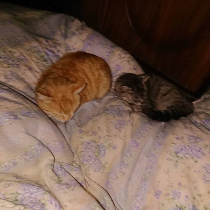 40d84147 df27 4dd1 8b48 52bd442db7cf 1587839313879