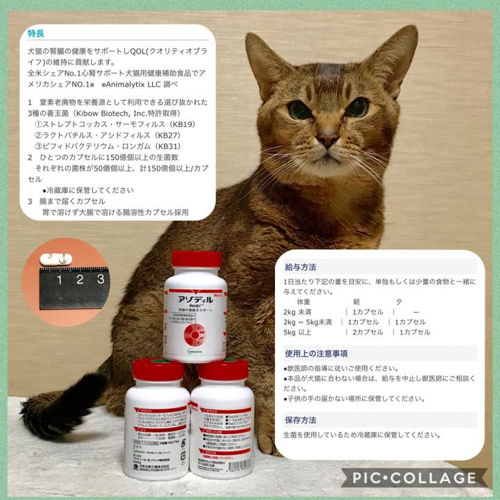 40d84326 cba4 4abc b6dc 84d73d9acfb1 1557628984195