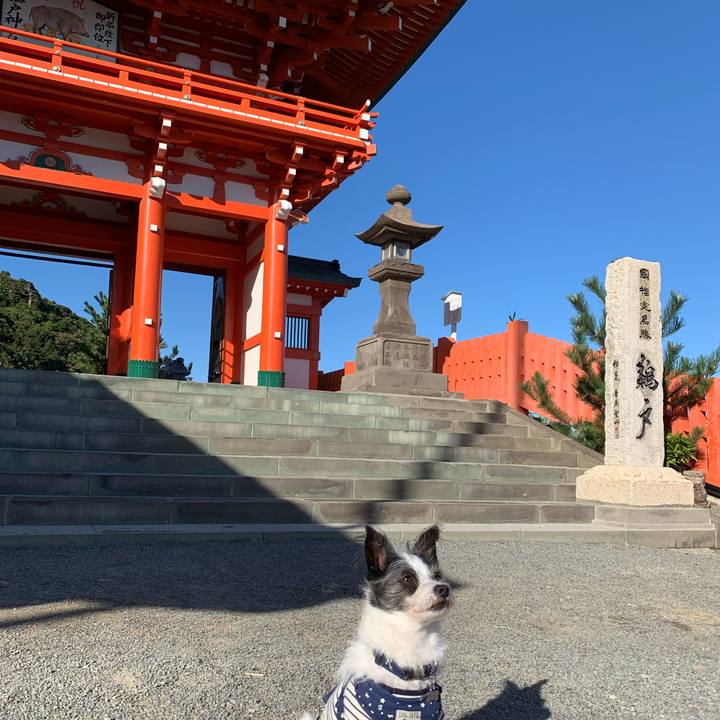 40d8c4d8 5200 4d78 92ef baa149cb3b1c 1575011502330